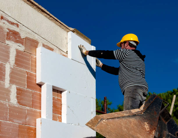 Best Cellulose Insulation in Frisco, TX