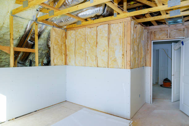 Types of Insulation We Offer in Frisco, TX