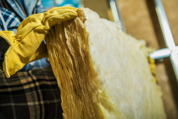 Best Specialized Insulation Services in Frisco, TX