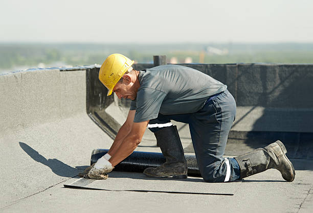 Best Insulation Maintenance and Repair in Frisco, TX