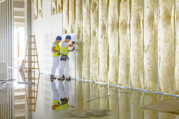 Professional Insulation Contractor in Frisco, TX